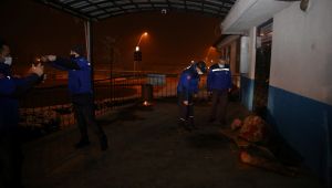 Gebze'de sokakta kalan 50 kişiye sıcak yuva
