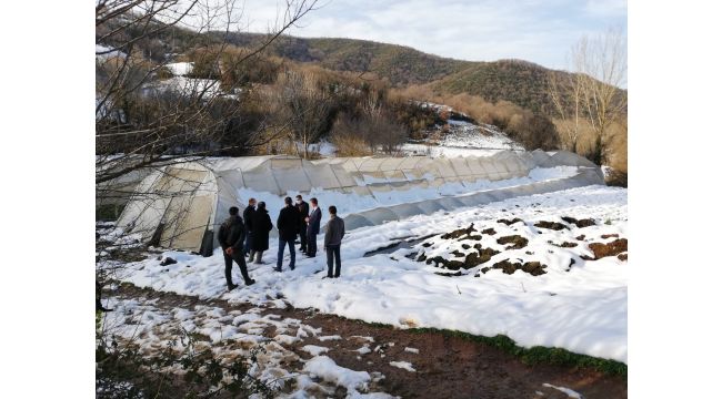 Hasar gören seralar yerinde incelendi