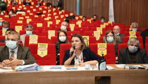 İzmitlilerin talepleri Büyükşehir meclisine taşındı
