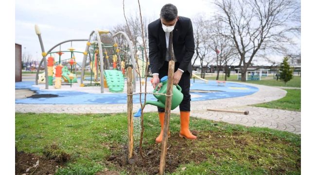 Kartepe’de her yıl bin 100 fidan toprakla buluşacak