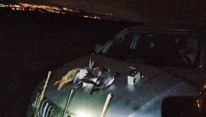 Kocaeli'de avcılara ceza yağdı