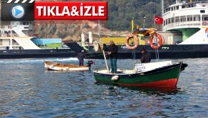 Kocaelili balıkçılar bilinçsiz avcılığa tepki gösterdi