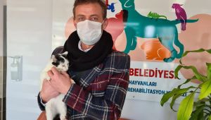 Körfez'de tedavi edilen hayvanlar, yeni yuvalarına kavuşuyor