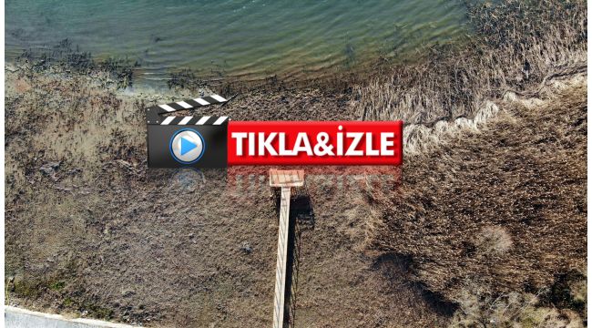 Sapanca Gölü can çekişiyor