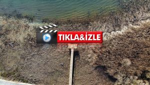 Sapanca Gölü can çekişiyor