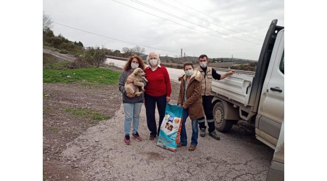 Sokak hayvanları için 1,5 ton mama dağıtıldı
