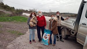 Sokak hayvanları için 1,5 ton mama dağıtıldı