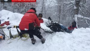 20 metre yükseklikten ormanlık alana düştü