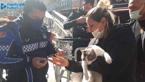 Ağaçta mahsur kalan kediyi itfaiye kurtardı