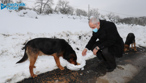 Başkan aracını durdurdu veeee...