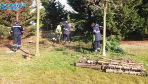 Büyükşehir 12 ilçede budama yapıyor!