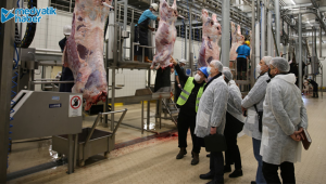 Büyükşehir Mezbahası dünyaya örnek alınıyor