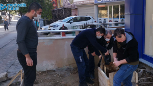 Gebze'de kedi kurtarma operasyonu!