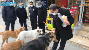 Gebze’de sokak hayvanları unutulmuyor