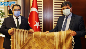 GTÜ O proje için Siirt'e gitti!