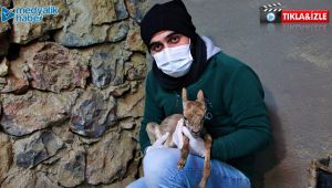 Hayvanat bahçesinin yeni üyesi dünyaya gözlerini açtı