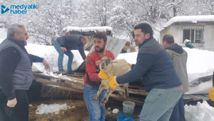 İşte kar yağışının Kocaeli'ye bilançosu!