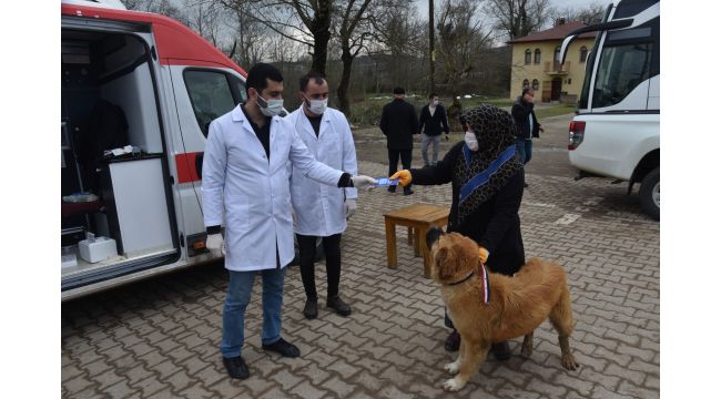 İzmit’in köylerinde sokak hayvanları aşılanıyor