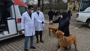 İzmit’in köylerinde sokak hayvanları aşılanıyor