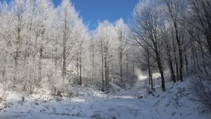 Kartepe'de yoğun kar yağışı bekleniyor