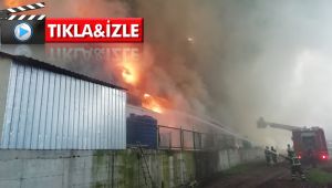 Kocaeli'de ki tavuk çiftliği alev alev yanıyor