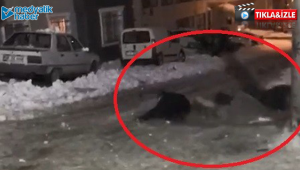 Poşetle kaydılar, sonra bakın ne oldu?