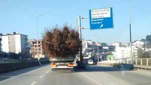 Seyyar ormanı andıran kamyon görenleri şaşırttı