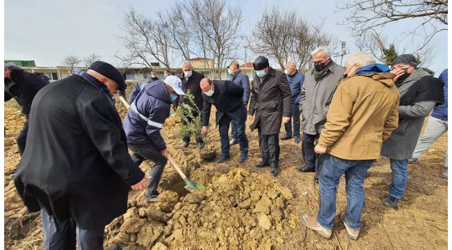 Babalı Sahili’ne anlamlı hatıra ormanı
