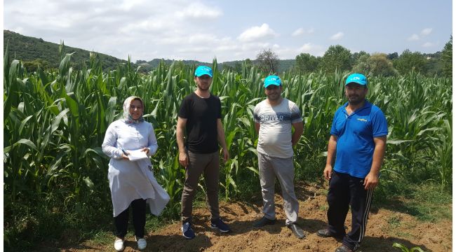 Büyükşehirden çiftçilere hibeli tohum desteği