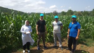 Büyükşehirden çiftçilere hibeli tohum desteği