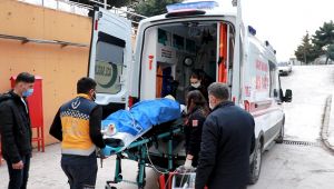 Darıca’da kozalak toplarken ağır yaralandı!