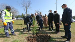 Derince’de Fidanlar Toprakla Buluştu