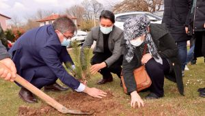 Fidanlar Tugay Adak için dikildi