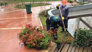 Gebze’deki parklar bahara hazırlanıyor