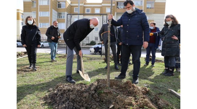 Hayatını kaybeden sağlıkçılar için fidan dikildi