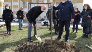 Hayatını kaybeden sağlıkçılar için fidan dikildi
