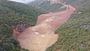 Hereke dolgu alanına 10 bin 500 ağaç dikildi