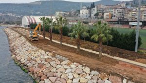 Hereke Sahilini palmiye ağaçları süsleyecek