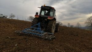 İzmit'te ipek böcekçiliği üretimi geri dönüyor