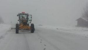 Kocaeli'de kar yağışı başladı