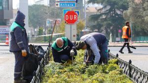 Körfez'in yeşiline binlerce fidanlık katkı