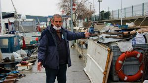 Limanların büyümesi ile av alanları azalan Gebzeli balıkçıklar dertli