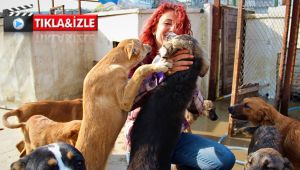 Öğretmen maaşını 300 dilsiz canın bakımına adadı