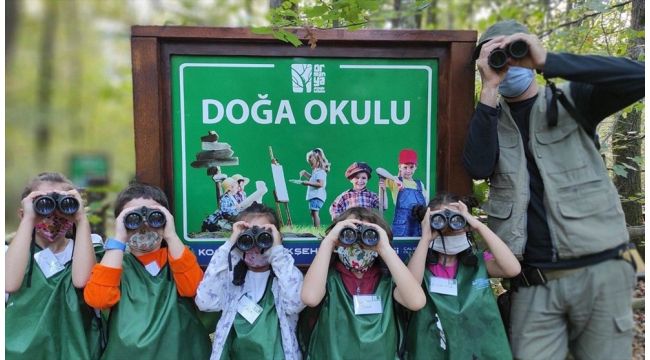 Ormanya, Cumartesi günleri açık