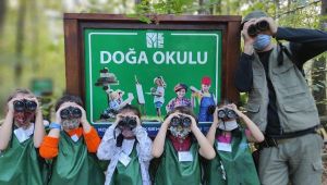 Ormanya, Cumartesi günleri açık