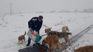 Patili dostlar Gebze’de unutulmuyor