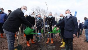 Sağlık çalışanlarına hatıra ormanı