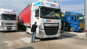 Sırp Tır sürücüsü Gebze'de aracında ölü bulundu!