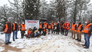 Sokak hayvanlarına mama dağıtıldı