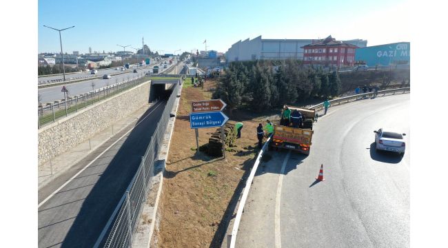 Stadın çimleri, Gebze Doğu Kavşağı’na seriliyor